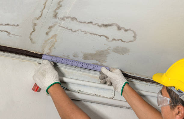 Reliable Ceiling Water Damage Repair contractor in Ecorse, MI by Hirex Water Damage
